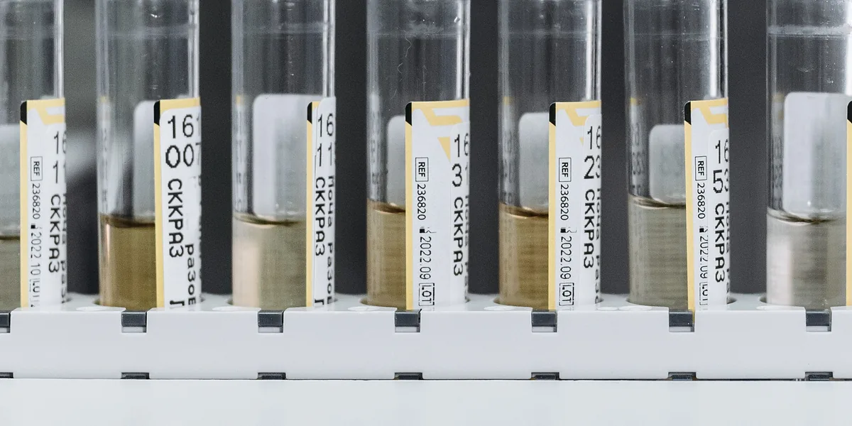 Tubes d'échantillons de laboratoire étiquetés avec référence et numéro de lot